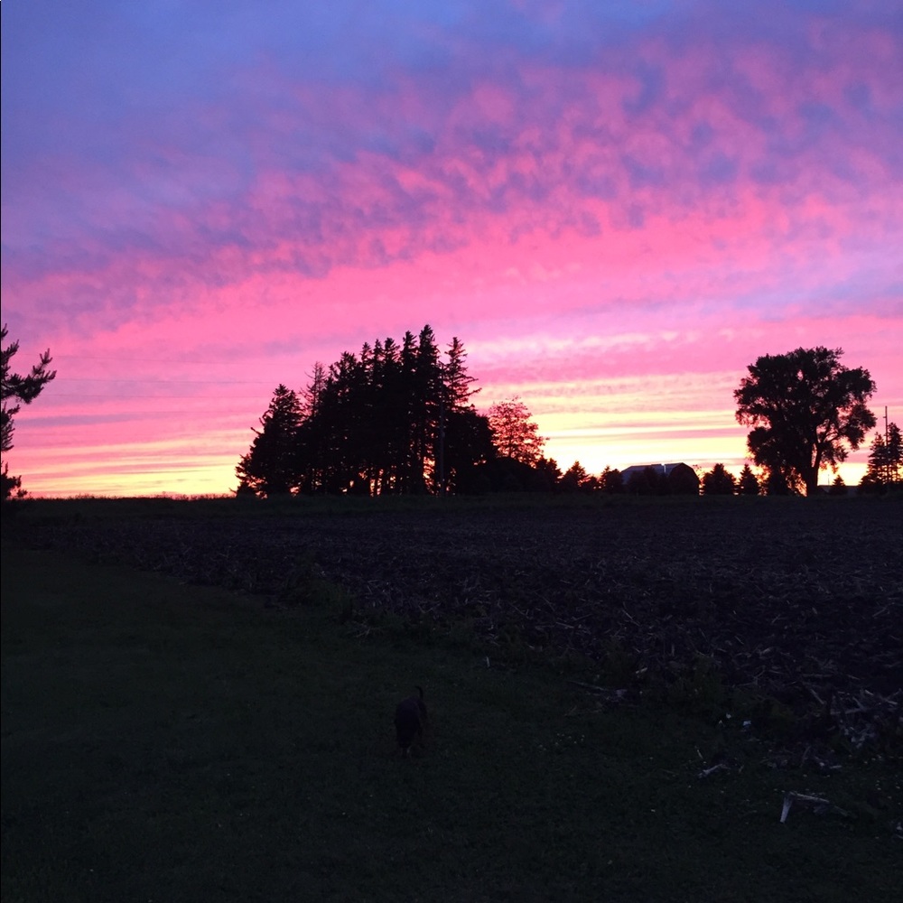 Meet your Posher, Elizabeth